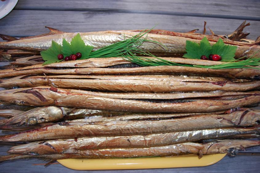 Pavilosta Marina Kültér fotó